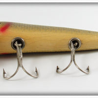 Creek Chub Black Sucker