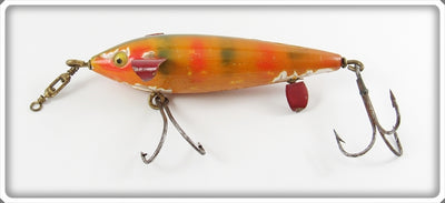 Joe Pepper Spotted Roman Redtail