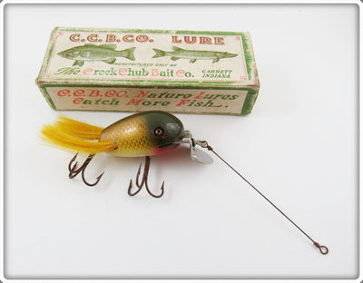 CCBC Golden Shiner Dingbat In Correct Box 5104