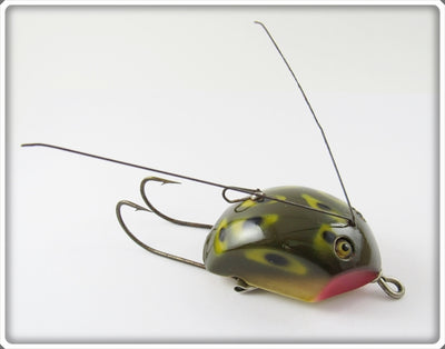 Creek Chub Frog Spot Weed Bug 2819