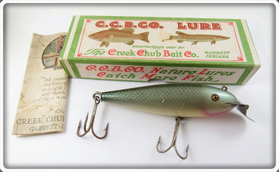 Creek Chub Mullet Husky Musky In Correct Box 607