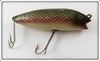 Creek Chub Redside Chub Open Mouth Shiner