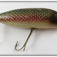 Creek Chub Redside Chub Open Mouth Shiner