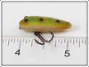 South Bend Intro Trout Oreno Box With Frog Spot Fly Oreno