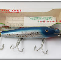Creek Chub Blue Flash Snook Pikie In Box