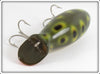 Creek Chub Frog Spot Big Bomber 6719 Special