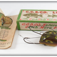 Vintage Creek Chub Frog Spot Weed Bug Lure In Box 2819
