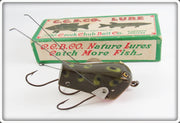 Vintage Creek Chub Frog Spot Wee Dee Lure In Box 4819