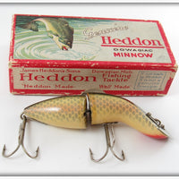 Vintage Heddon Shiner Scale Baby Gamefisher In Box 5409P