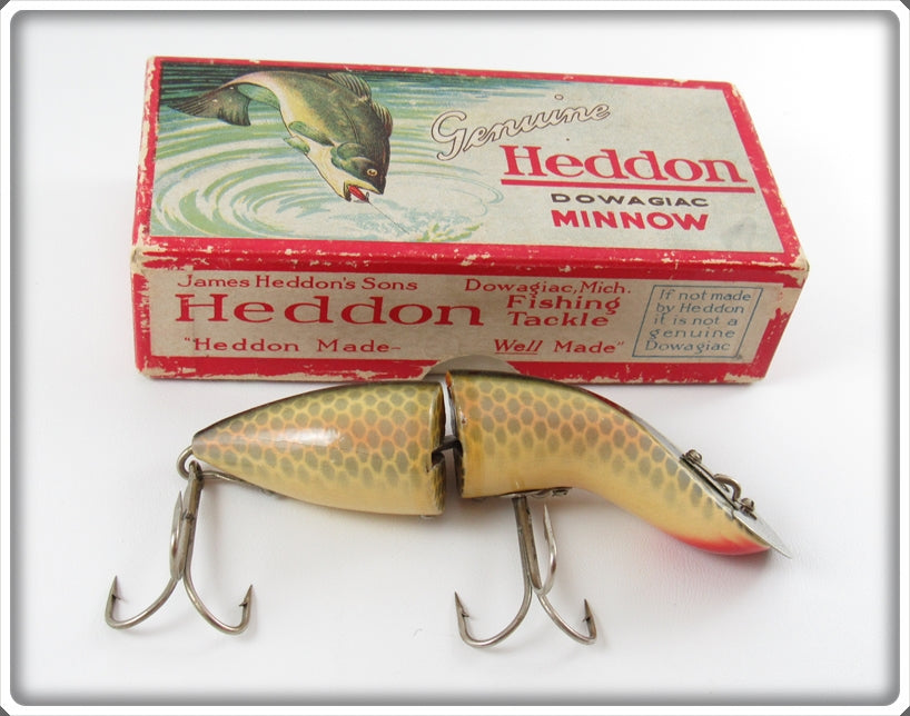Vintage Heddon Shiner Scale Baby Gamefisher In Box 5409P