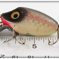 Heddon Shiner Scale Wood Midgit Digit In Box