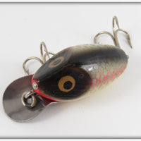 Heddon Shiner Scale Wood Midgit Digit In Box