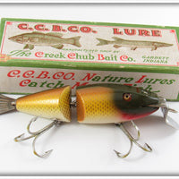 Vintage Creek Chub Golden Shiner Wigglefish In Box 2404