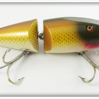 Creek Chub Golden Shiner Wigglefish In Box