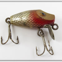 Rinehart Silver Scale Gold Face Chief