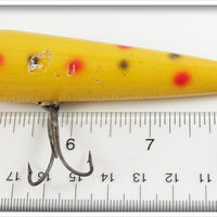 Creek Chub Yellow Spotted Sarasota 3314 Special