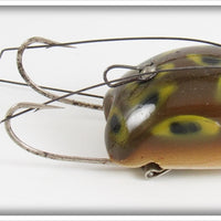 Creek Chub Frog Spot Weed Bug In Box 2819