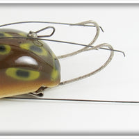 Creek Chub Frog Spot Weed Bug In Box 2819