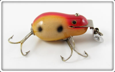 Vintage Creek Chub Spotted Tiny Tim Lure 6427