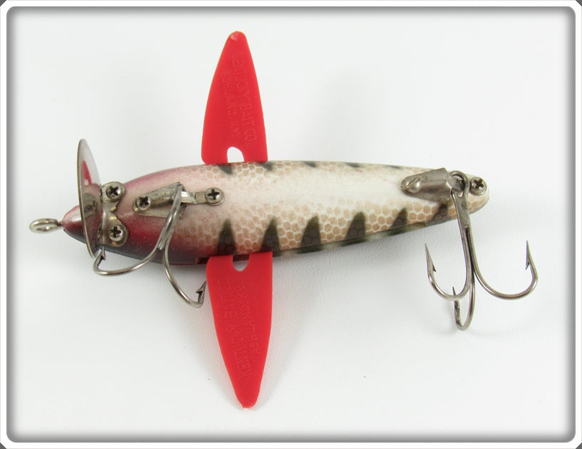 antique kentucky rew wing fishing lure Kentucky Bait Co Gold Scale Red Wings Flutter Fish Lure In Box