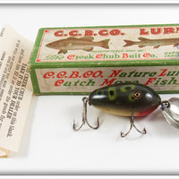Vintage Creek Chub Frog Spot Flip Flap Lure In Box 4419