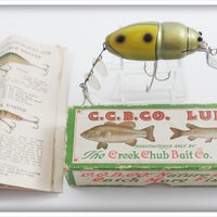 Vintage C.C.B.CO. Creek Chub Bait Co Green Beetle Lure In Box 3851