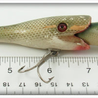 Lloyd & Company Gold Scale Hungry Jack