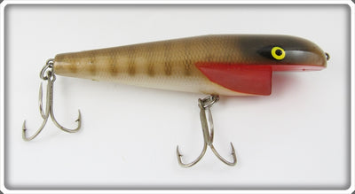 Penn Dart Pike Scale Sick Sucker