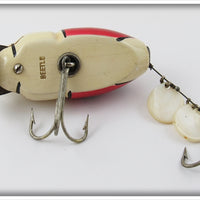 Creek Chub White & Red Beetle