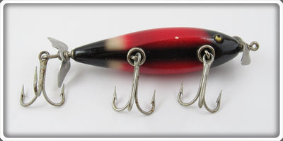 Creek Chub Redwing Blackbird Injured Minnow