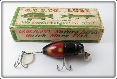 Vintage Creek Chub Black Midget Beetle In Correct Box 6055
