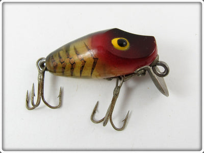 Rinehart Gold Scale Transparent Chief