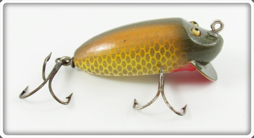 Vintage Creek Chub Golden Shiner River Rustler Lure 3704