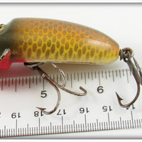 Creek Chub Golden Shiner River Rustler 3704