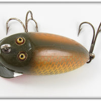 Creek Chub Golden Shiner River Rustler 3704