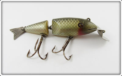 Creek Chub Silver Shiner Early Wigglefish