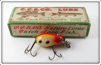 Vintage CCBC Creek Chub Spotted Tiny Tim Lure In Box 6427