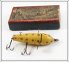 Vintage UTK Yellow Gold Spots Success Spinner Lure In Box