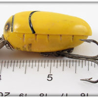Millsite Yellow & Black Rattlebug In Box