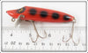 Heddon Orange With Black Spots Baby Vamp 7409V