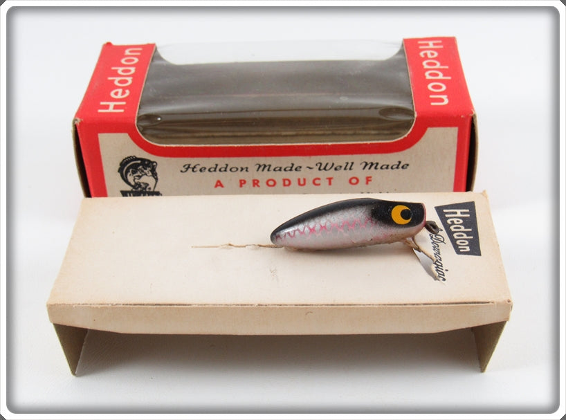 Heddon Shiner Scale Runtie Spook Lure 950 P In Unmarked Box 