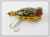 Arbogast Seein's Believin' Brown Leopard Frog 1/4 Oz Hula Popper In Box