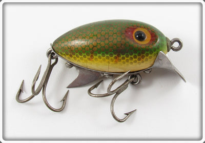 Clark's Perch Scale Little Eddie