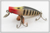 Makinen Gold Scale With Black Stripes WonderLure