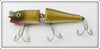 Creek Chub Golden Shiner Jointed Darter