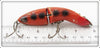 Heddon Orange Black Spots Baby Gamefisher 5409V
