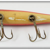 Creek Chub Dace Darter