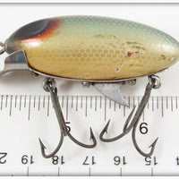 Clark's Shiner Scale Dent Eye Water Scout