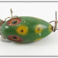 Clark's Green Frog Spot Little Eddie