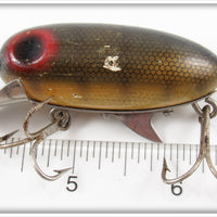 Clark's Pike Scale Dent Eye Water Scout
